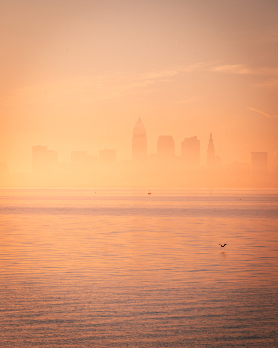 Summer Fog over Cleveland, Ohio from Lakewood Park