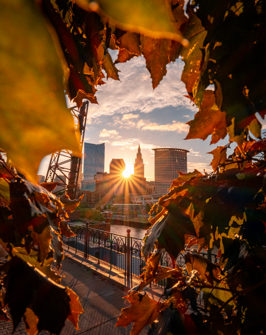 Through the Trees in Cleveland, Ohio