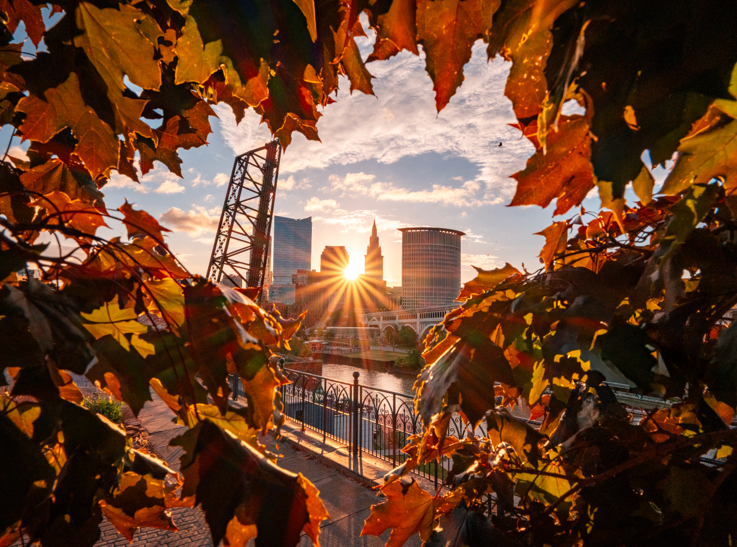 Through the Trees in Cleveland, Ohio