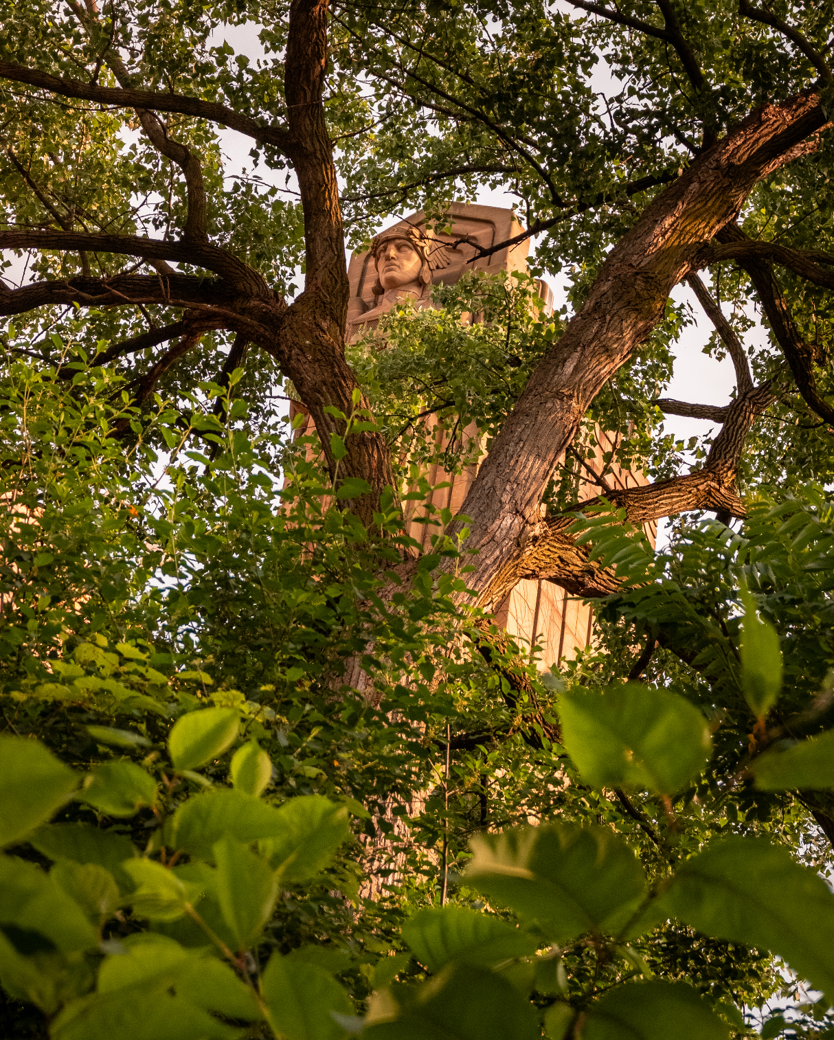 Through the Trees in Cleveland, Ohio